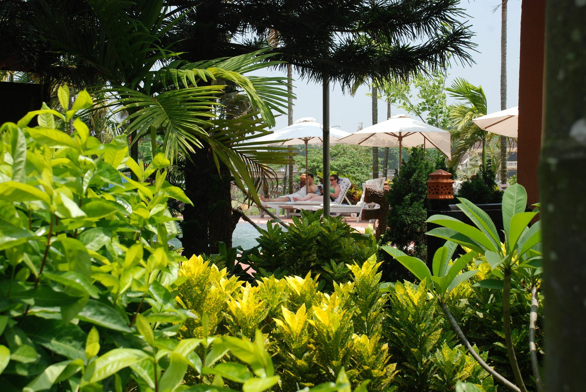 Pho Hoi Riverside Resort Хоян Екстер'єр фото